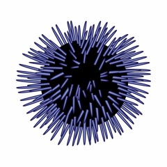 Searching - Quality Collective
