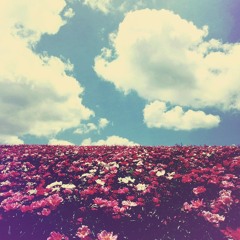 Devendra Banhart Bad Girl cover