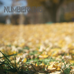 NumberNin6 - Saltwater [free download]