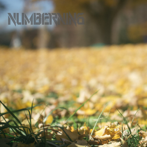 NumberNin6 - Saltwater