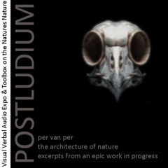 VITRAILLE IX ∞ preludium // 1st exerpt from " The Architecture Of Nature" ∞