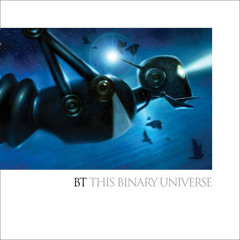 BT - Binary Universe