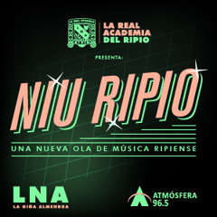 Niu Ripio