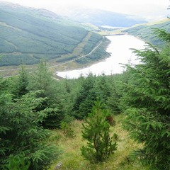 Hybrid Grid - Journey (Arrange) [Demo]