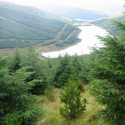 Hybrid Grid - Journey (Arrange) [Demo]