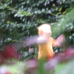 Harold Nono/Hidekazu Wakabayashi - "A Shout Away"