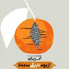 Mohsen Namjoo - Reza Khan
