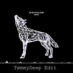 Digitalism - Wolves (TommyDeep Edit)