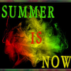 Summer is Now !! (Out now on Beatfreak'z records)