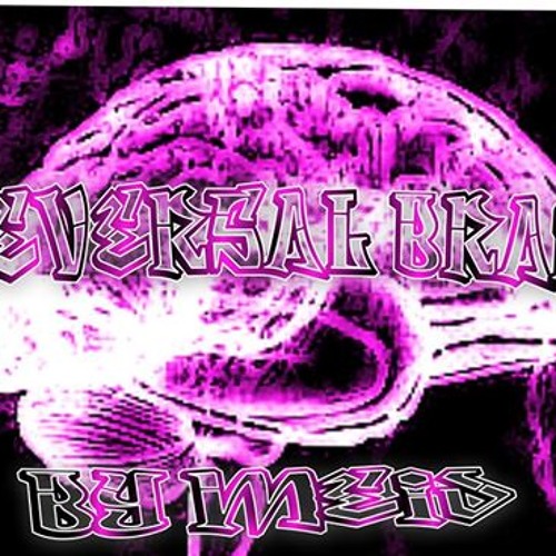 Meid - Reversal Brain