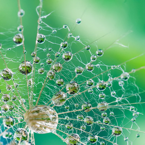 Whisper - Behnam Manahedji