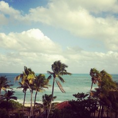 Steve Angello - Isabel (Disfunktion Bootleg)