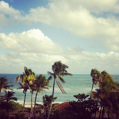 Steve Angello - Isabel (Disfunktion Bootleg)