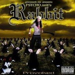 Psycho Unit - Back Stepper Fucker (Provoked Album)