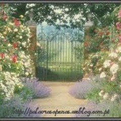 O som do jardim fechado (instrumental) - Samuel Asafe