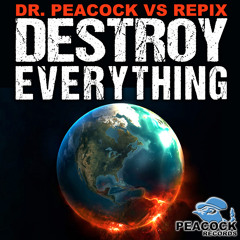 Dr. Peacock & Repix - Endless