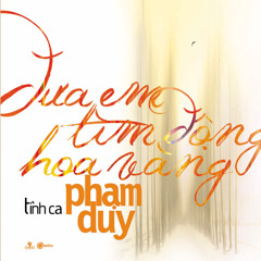 Đưa em tìm động hoa vàng (Phạm Duy) - Lê Minh Hiếu