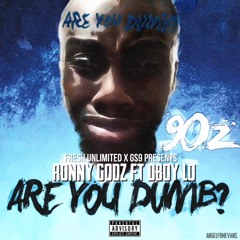 "Are You Dumb ???" Feat. Dboy Lo