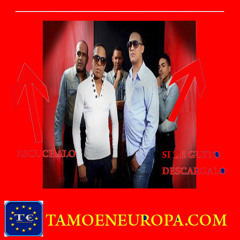 Que Rico La Pone  - Chiquito Team Band -