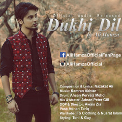 "DUKHI DIL" by Ali Hamza - Official Audio