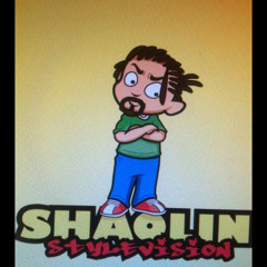 Tamir   Way Of The Shaolin 2013