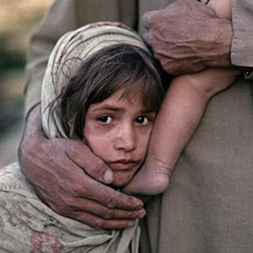 هانى المهاجر