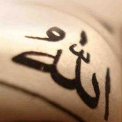 أنيس التائهين _ محمد فاضل