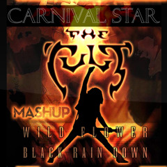 Wild Flower vs Black Rain Down - MashUp