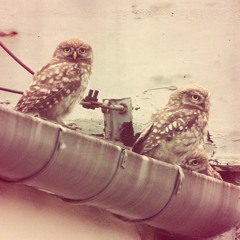 Night Owls (Instrumental)