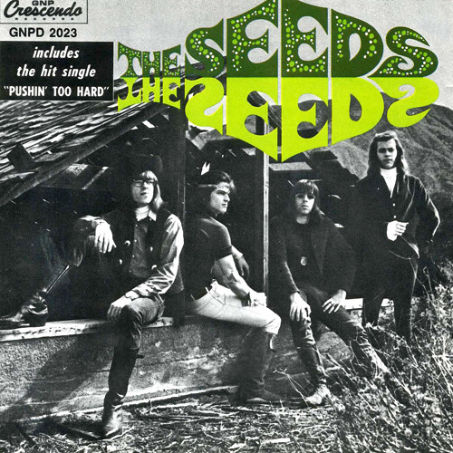 Pushin' Too Hard by The Seeds