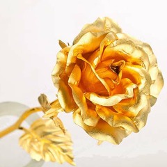Golden Flower ดอกทอง (Hallur)