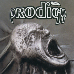 The Prodigy Journey