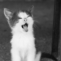 And the Living is Easy ♕