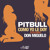 Artwork for Como Yo Le Doy (Spanglish Version) CLEAN Pitbull Featuring Don Miguelo