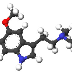 5-MeO-DMT