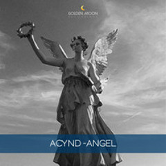 ACYND : Angel / DJ ahri Remix