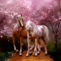 | سامح دلول | خلف ـآسوآر الحب