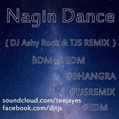 Nagin Dance ( TJS REMIX  ) ( 2013 )