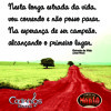 Estrada da Vida - Carlinhos Rocha e a Turma do Modão