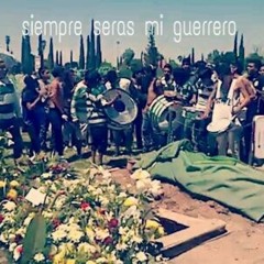 Ardok Rip (nokser,arse,terko,laura,triper,anny