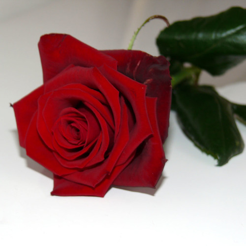 Pulse Width Modulation - Algoritmo Cuatro Cha Cha Cha