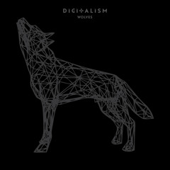 Digitalism - Wolves (Elgaard Remix)