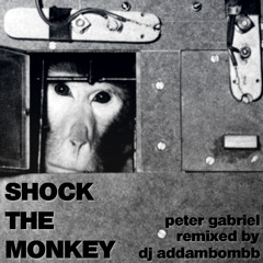 Shock the Monkey (dj addambombb's electroclash therapy bootleg)