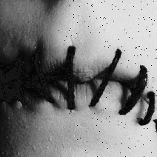 s.n.a.c.