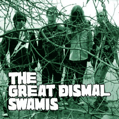 Great Dismal Swamis "Pole Position"  RZO Records * Garage Punk RNR