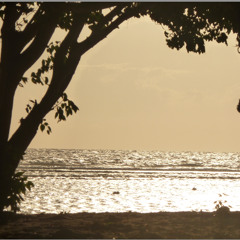 HOZIER - To Be Alone (2NC Remix)