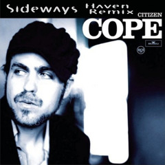 Citizen Cope - Sideways (Haven Dubstep Remix)