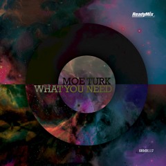 SRMR117 : Moe Turk - What You Need (Original Mix)