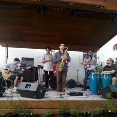 "Pusherman" (Curtis Mayfield) by Hot Cotton @ Boundary Bay 2014