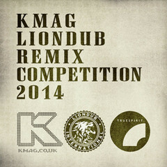 Truespirit-Kill it properly (mrdraw remix)